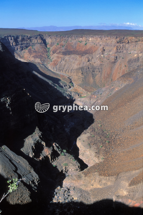 Faille (Djibouti) - gryphea.com